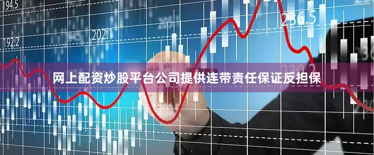 网上配资炒股平台公司提供连带责任保证反担保
