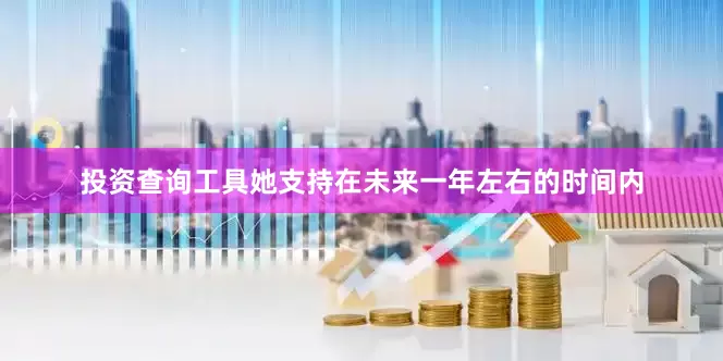 投资查询工具她支持在未来一年左右的时间内