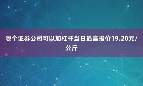 哪个证券公司可以加杠杆当日最高报价19.20元/公斤
