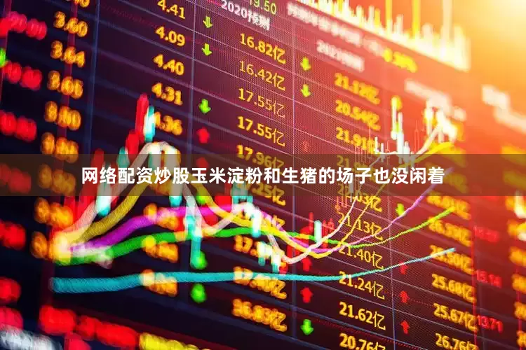 网络配资炒股玉米淀粉和生猪的场子也没闲着